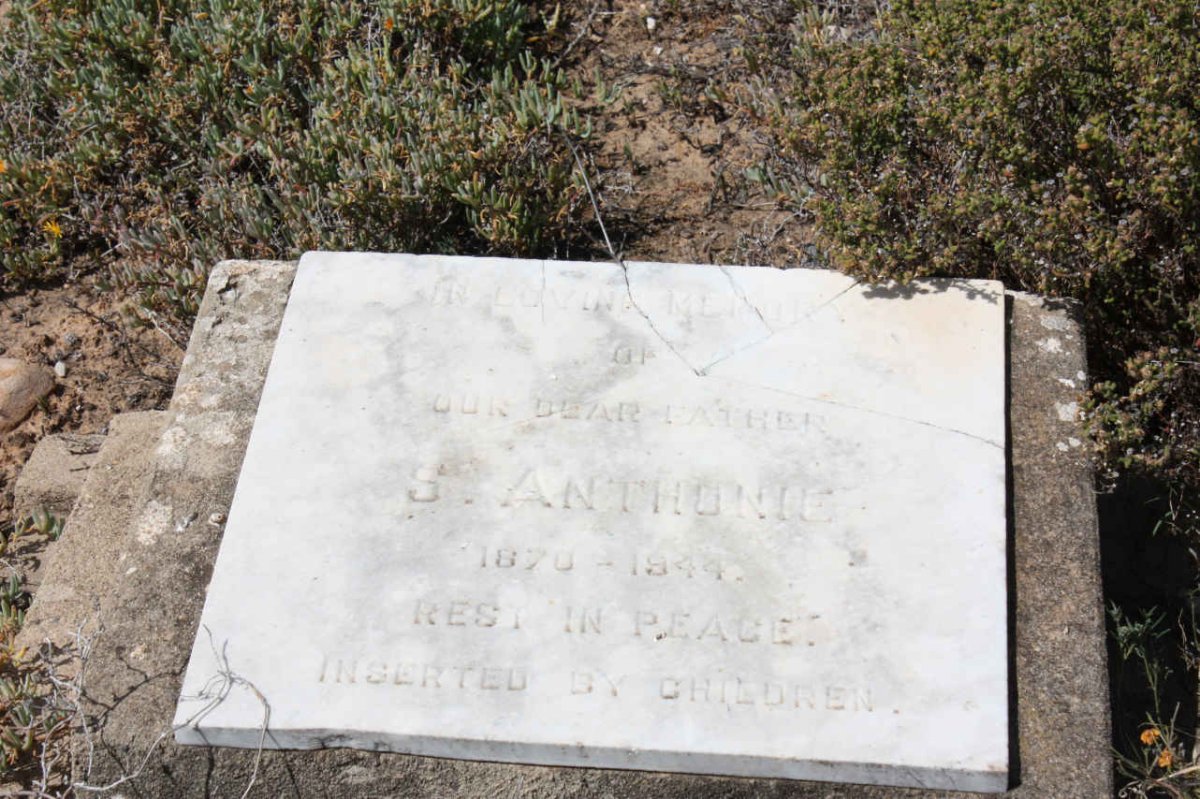 ANTHONIE S. 1870-1944