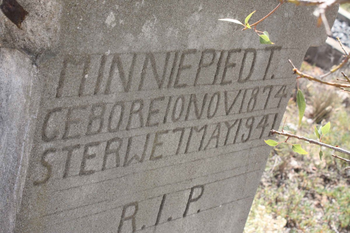 PIEDT Minnie 1874-1941