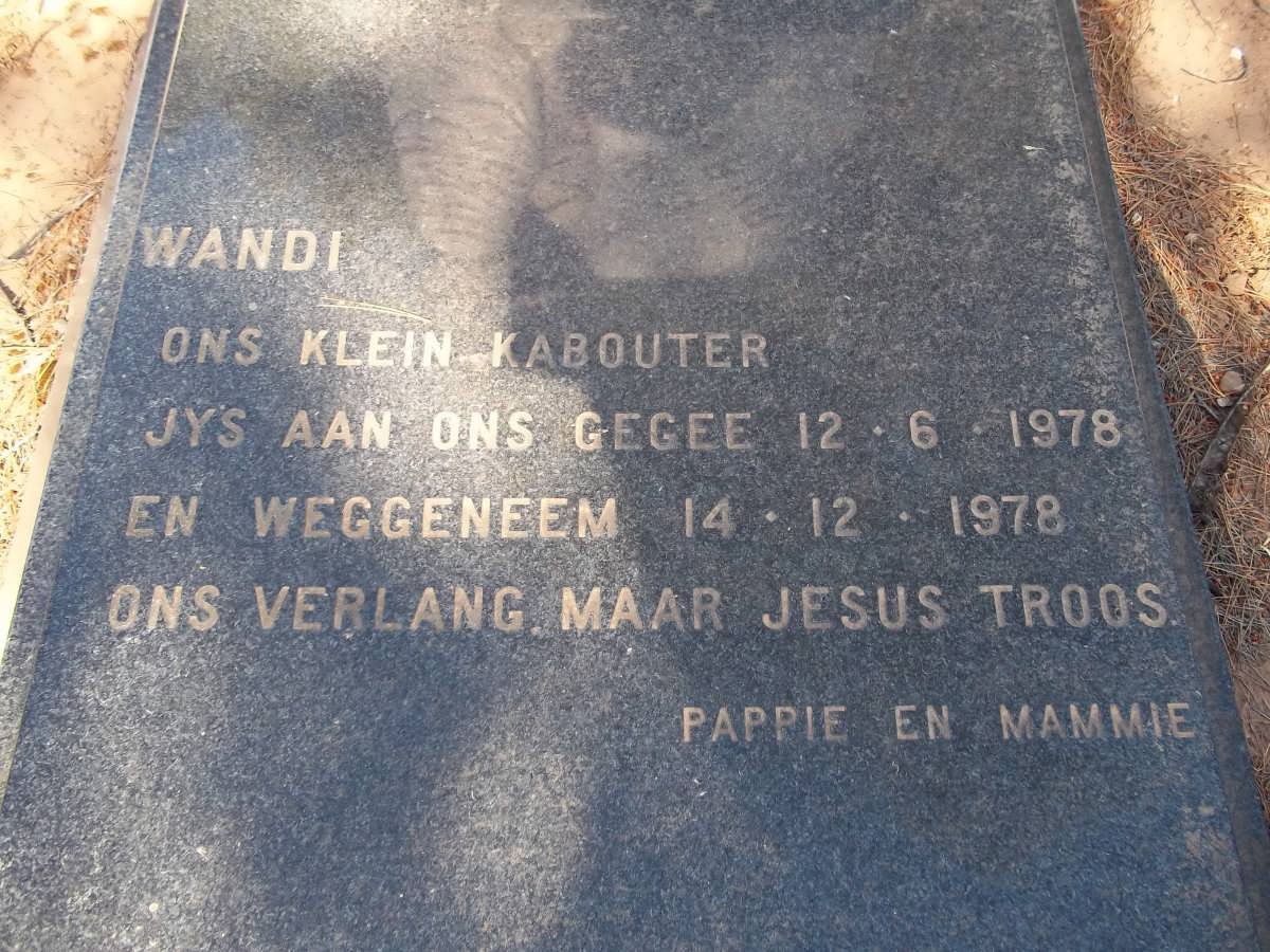 ? Wandi 1978-1978