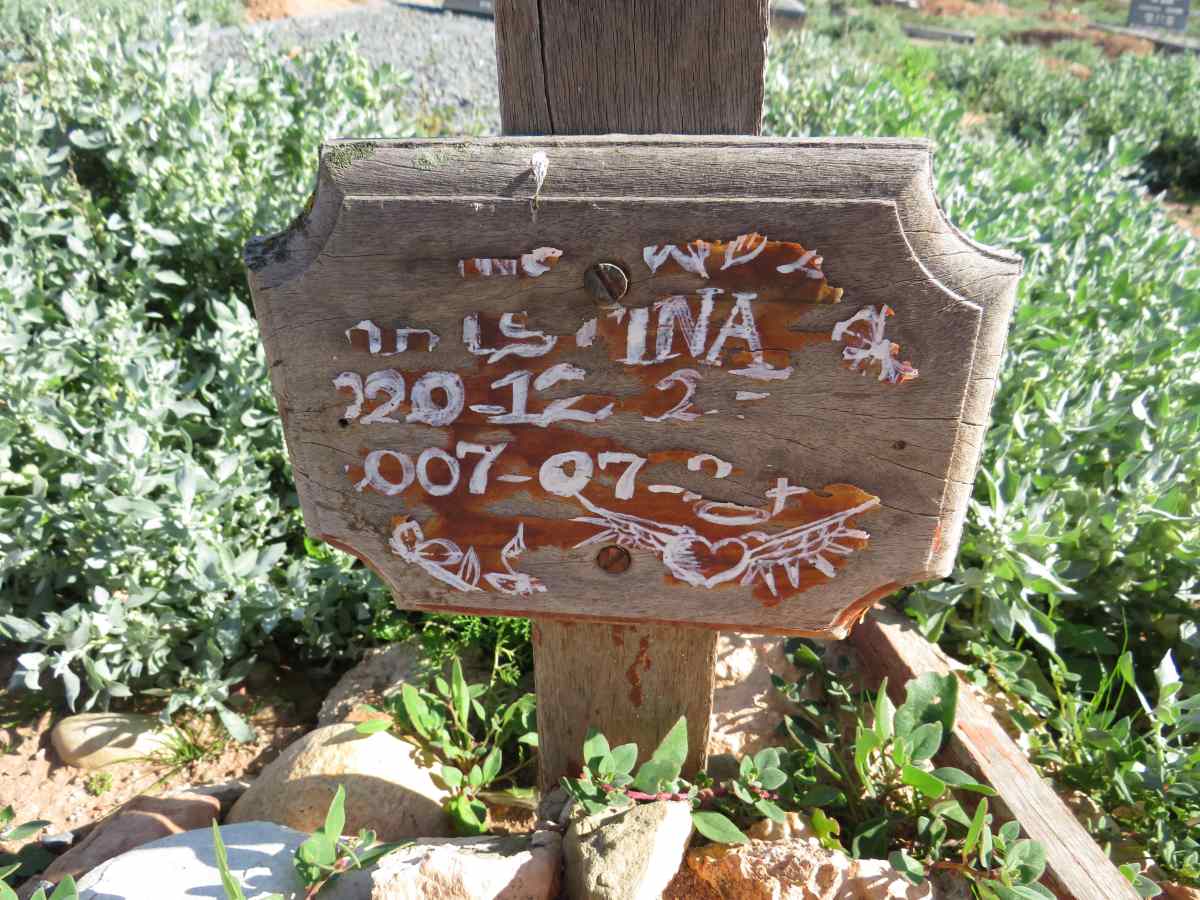 ? ?ina ?-2007