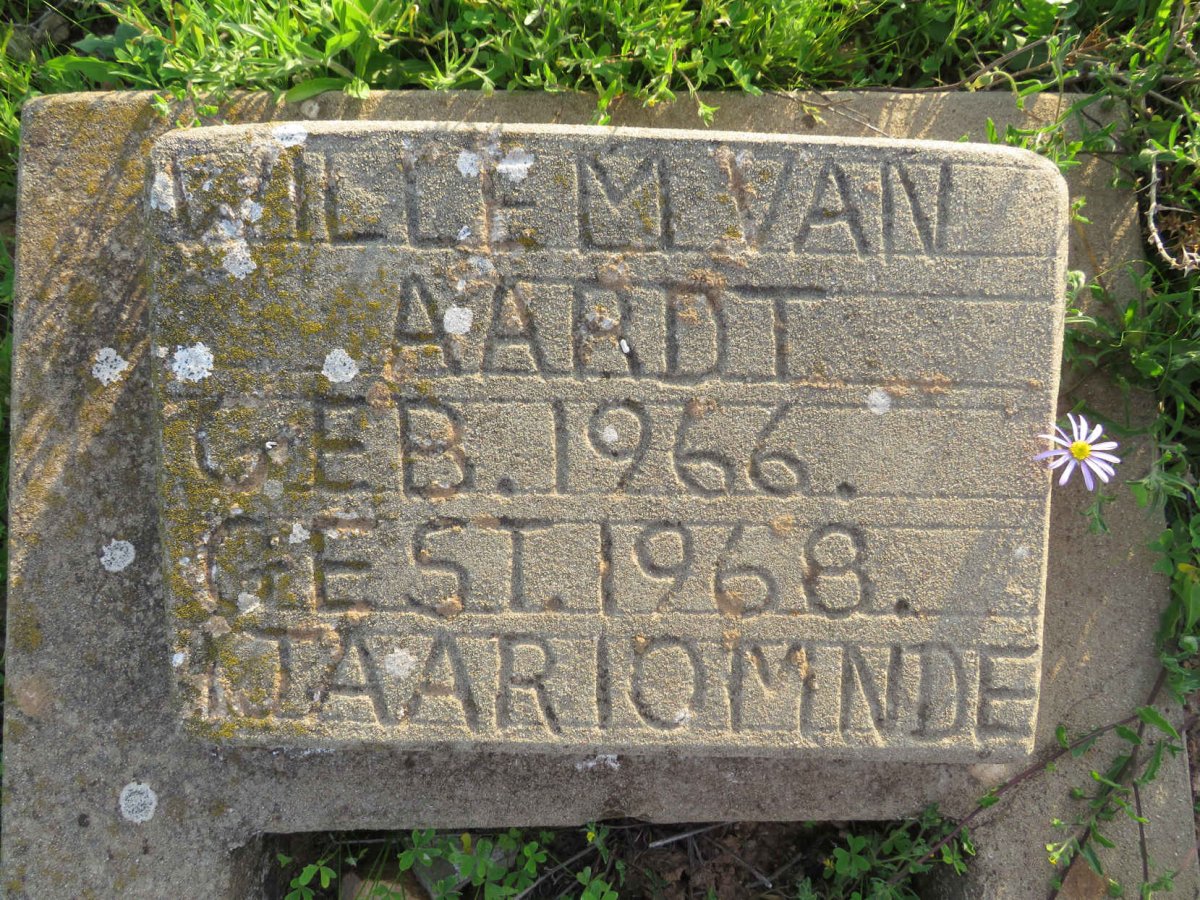 AARDT Willem, van 1966-1968