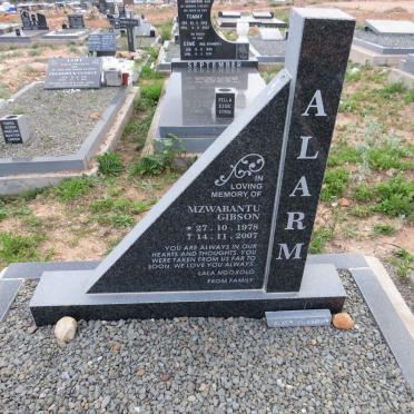 ALARM Mzwabantu Gibson 1978-2007
