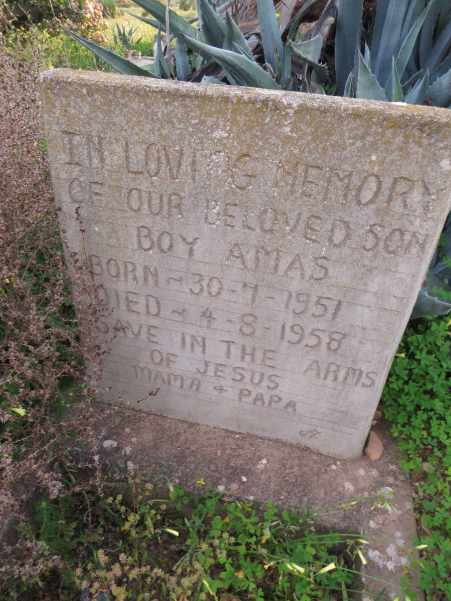 AMAS Boy 1951-1958
