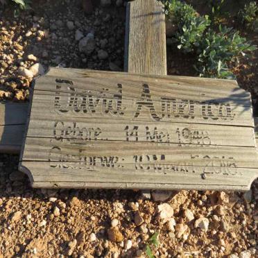 AMERICA David 1948-2016