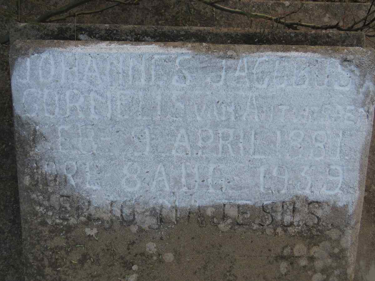 ANTWERPEN Johannes Jacobus Cornelis, van 1881-1959