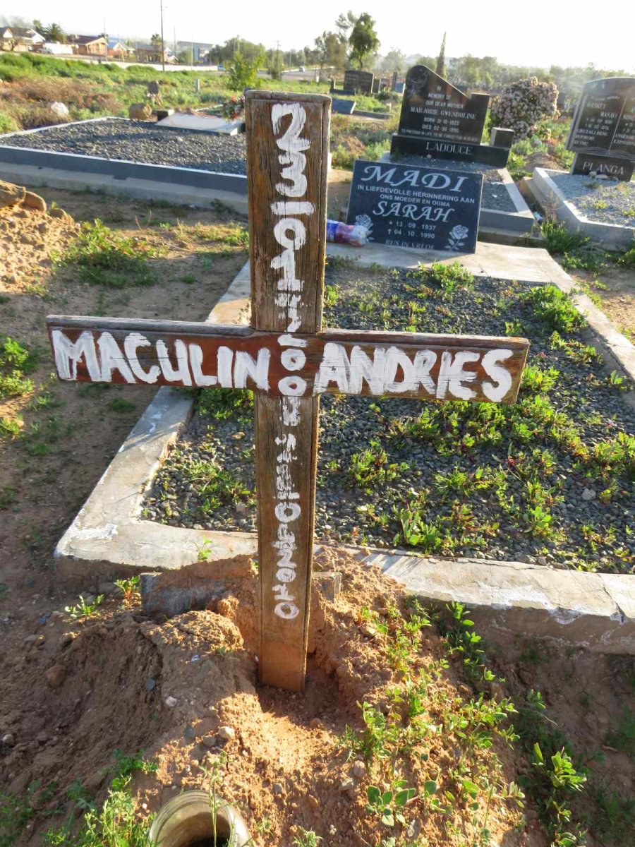 ANDRIES Maculin 2000-2010