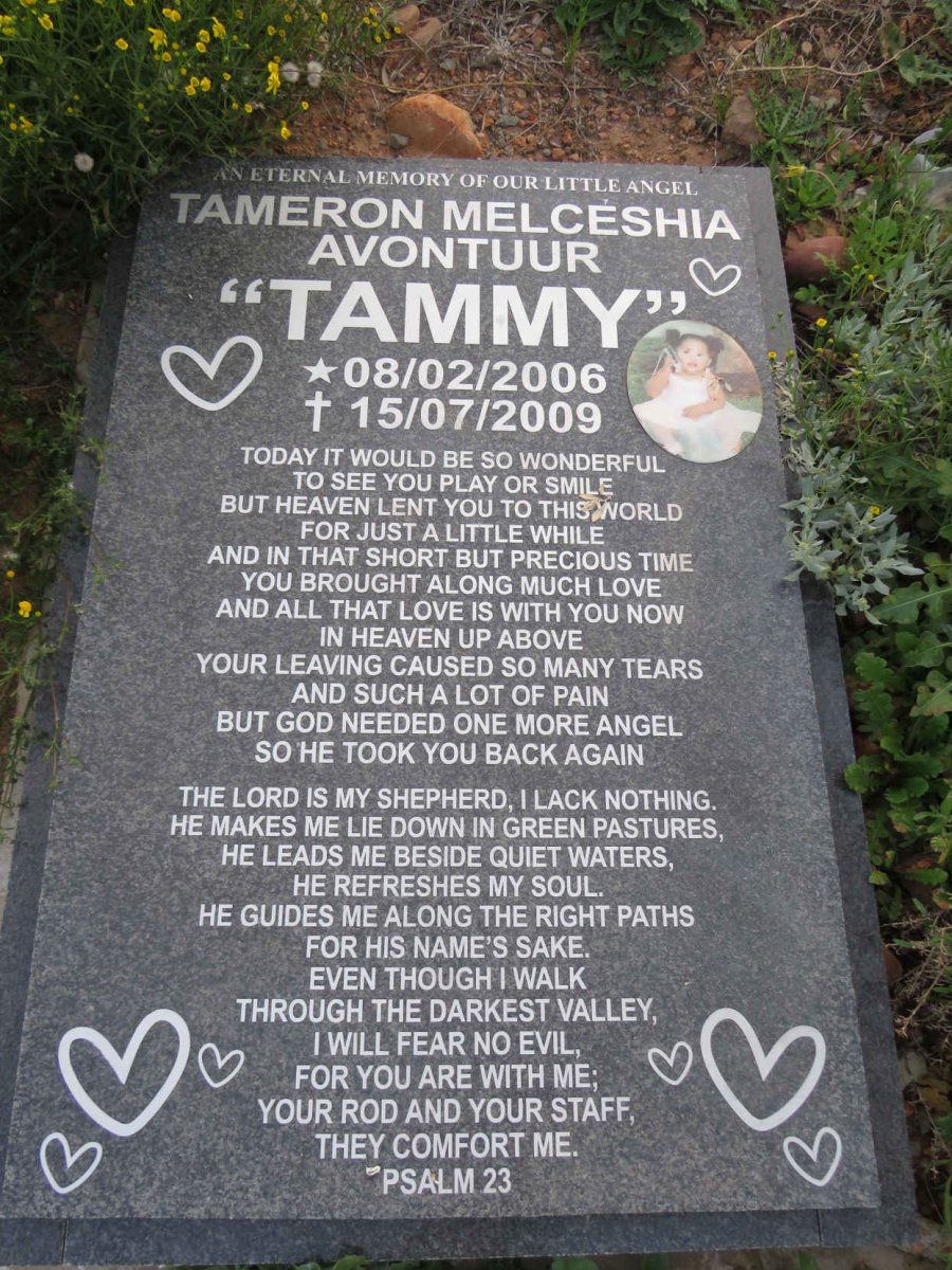 AVONTUUR Tameron Melceshia 2006-2009