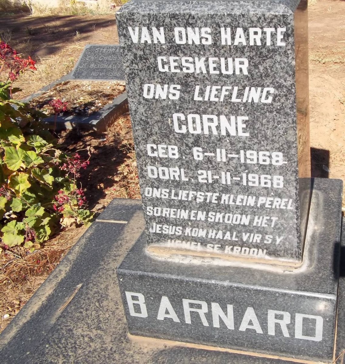 BARNARD Corne 1968-1968