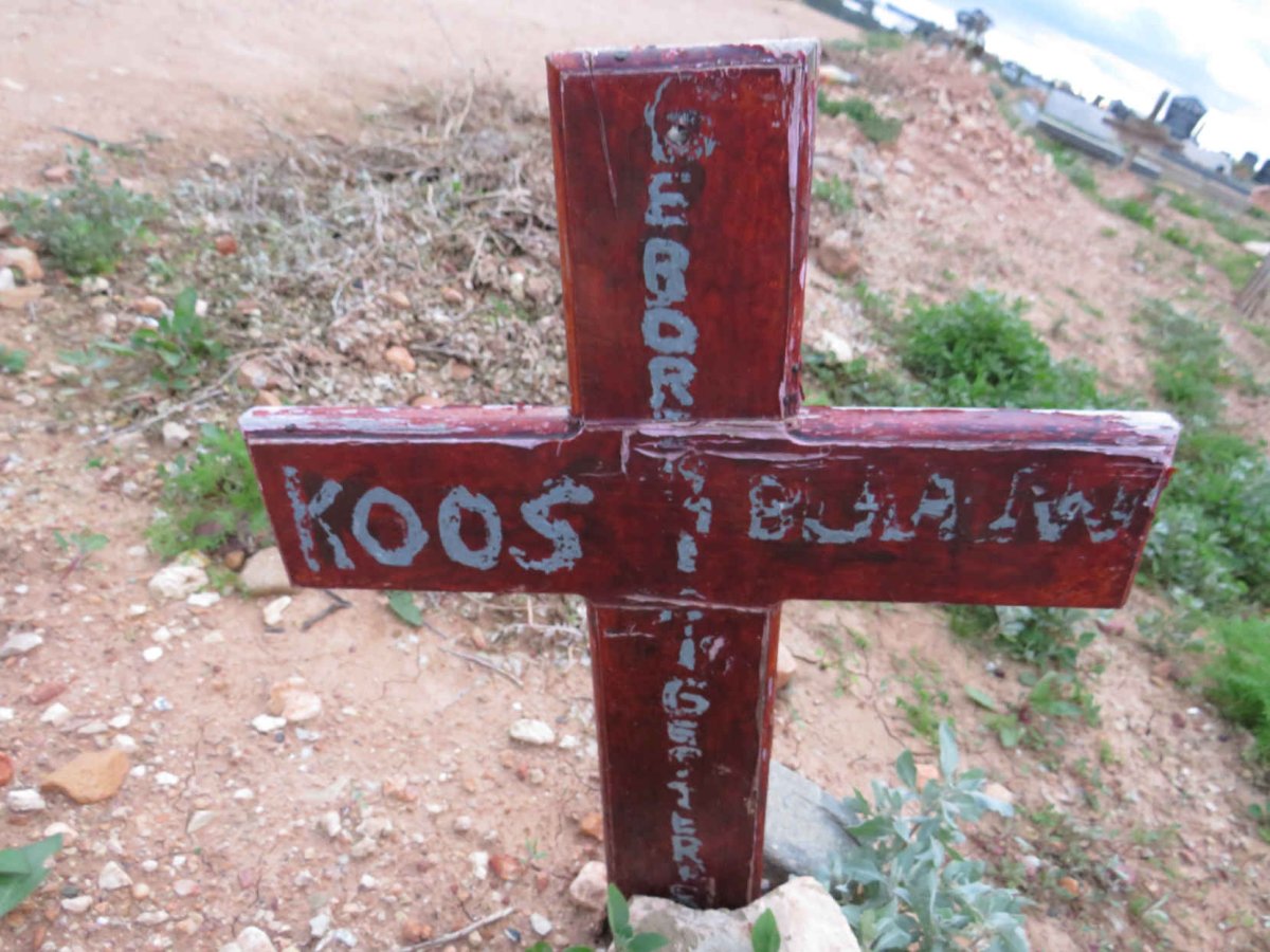 BLAAUW Koos