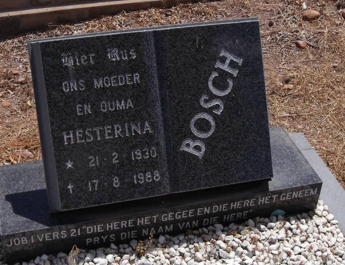 BOSCH Hesterina 1930-1988