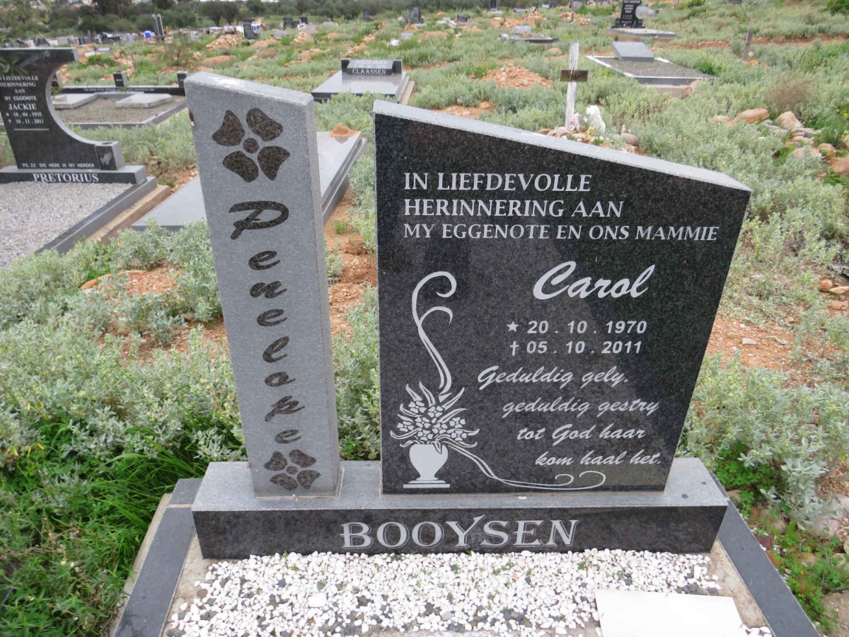 BOOYSEN Carol 1970-2011