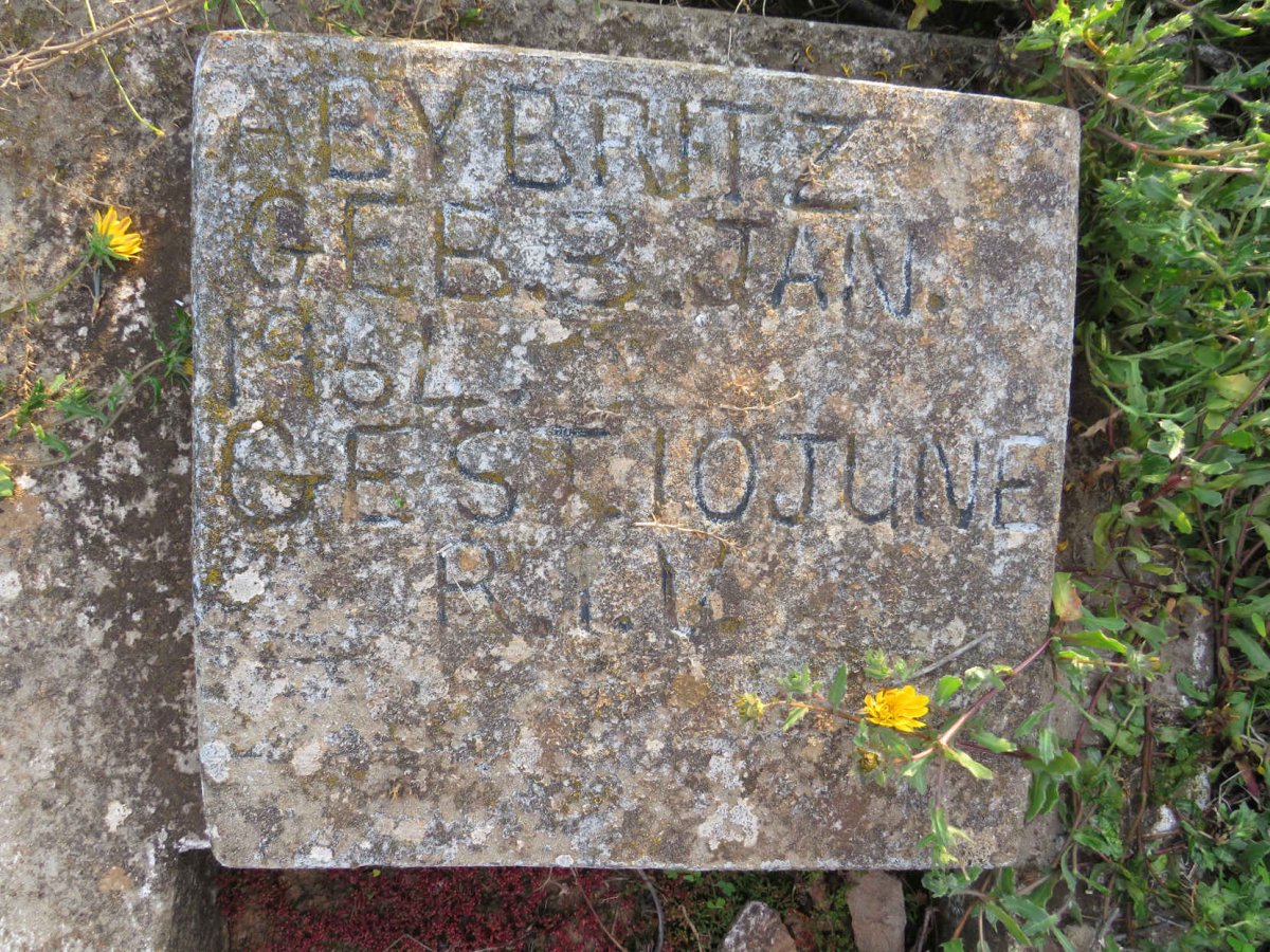 BRITZ Aby 1964-1964