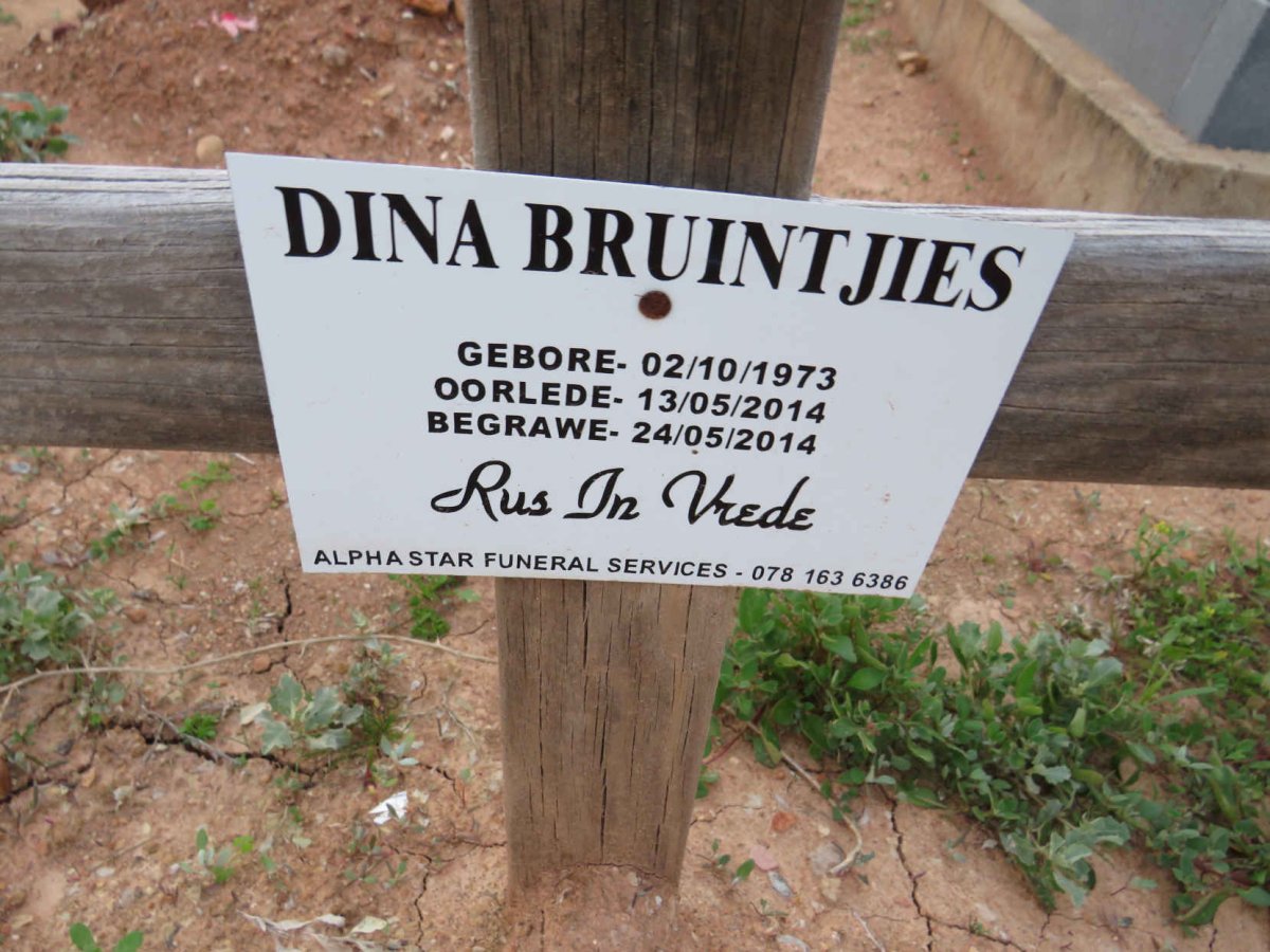 BRUINTJIES Dina 1973-2014