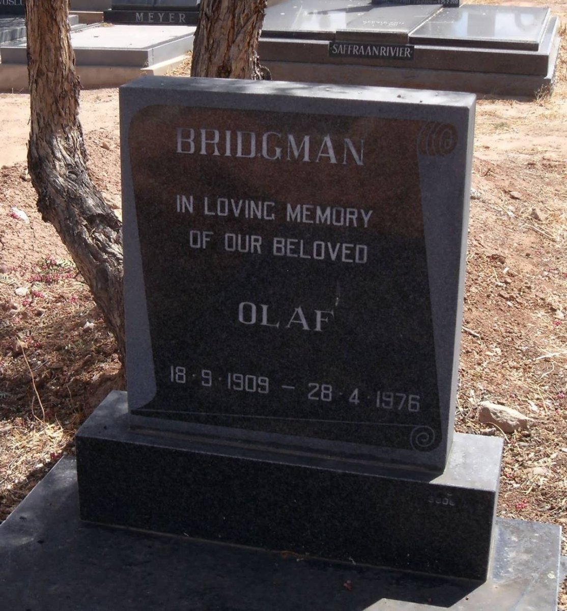 BRIDGMAN Olaf 1909-1976