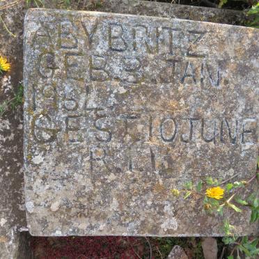 BRITZ Aby 1964-1964