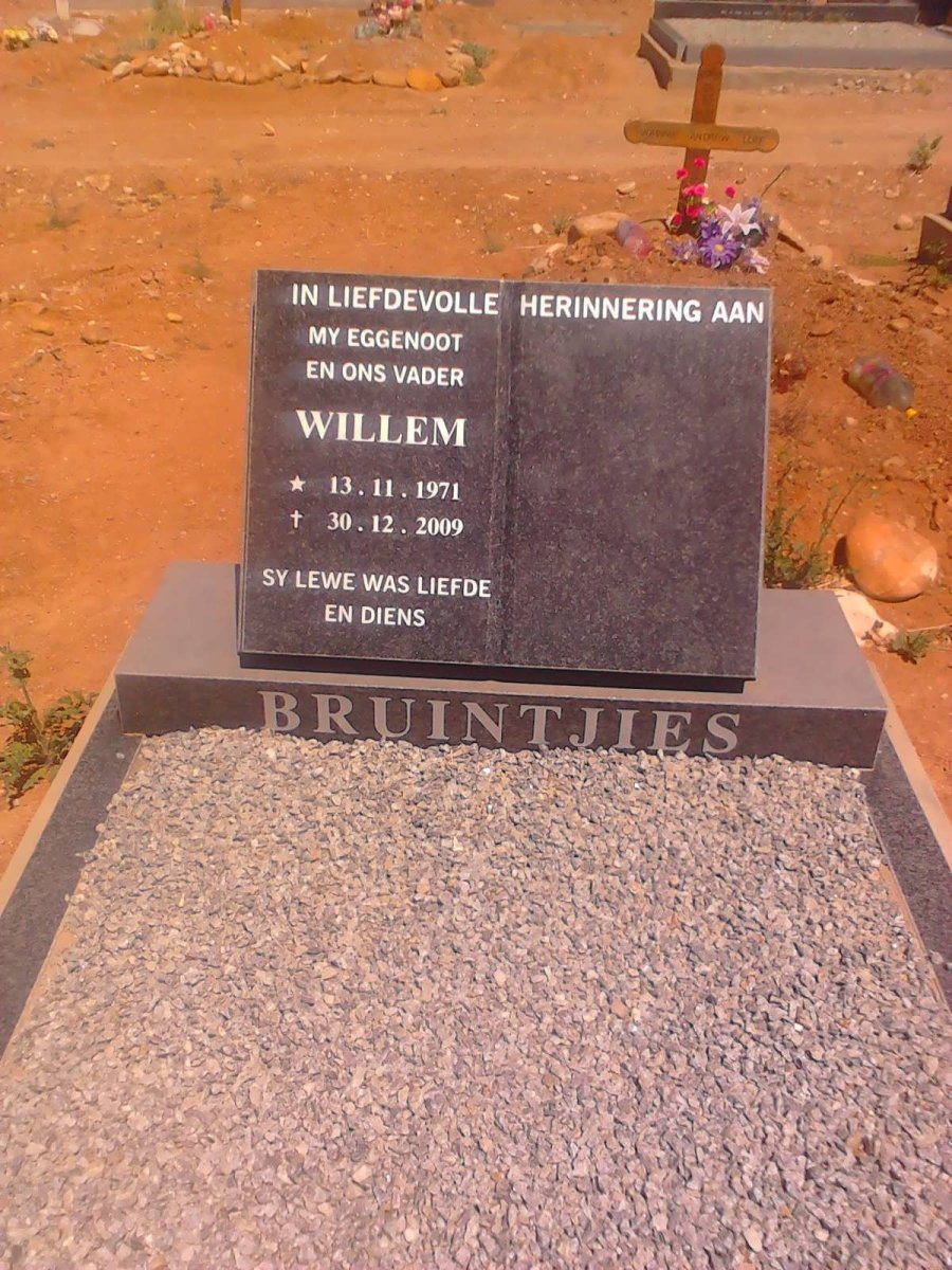 BRUINTJIES Willem 1971-2009