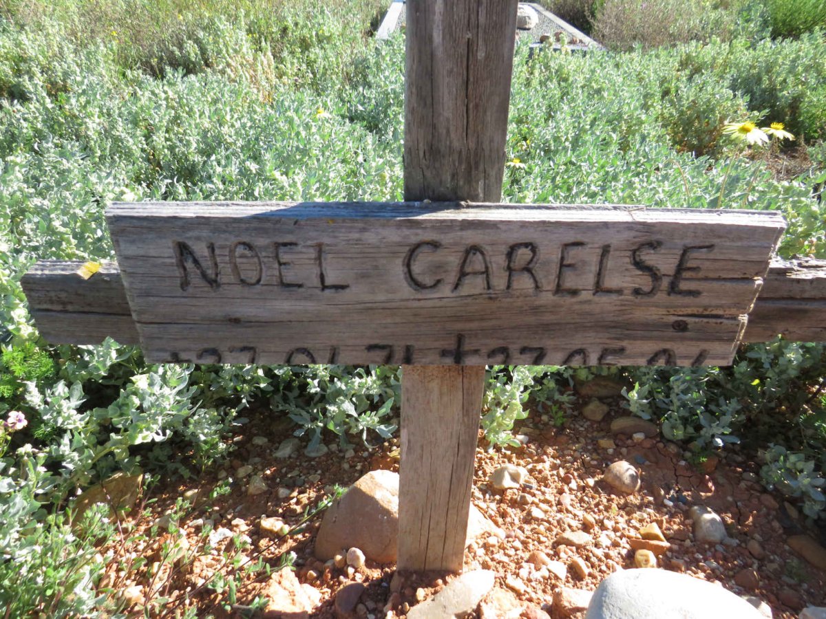 CARELSE Noel  1971-2006