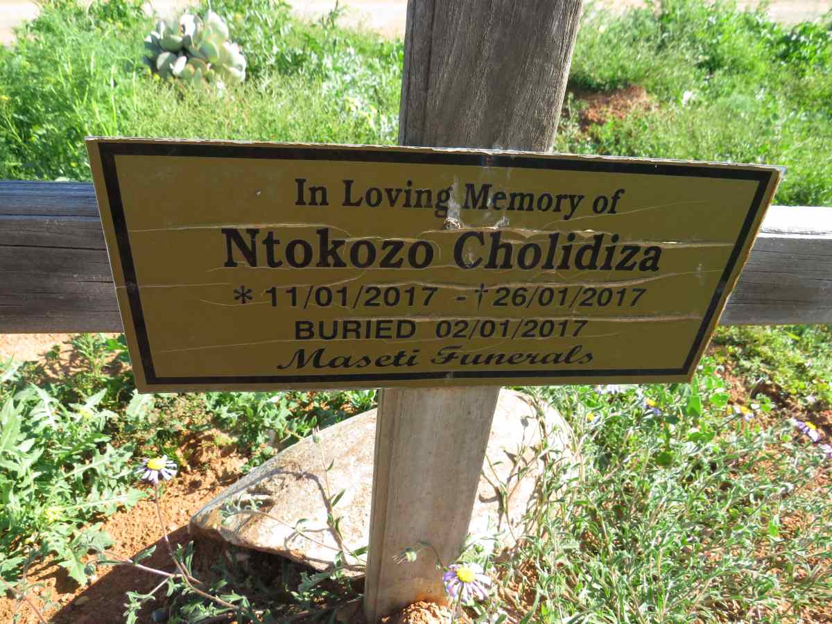 CHOLIDIZA Ntokozo 2017-2017
