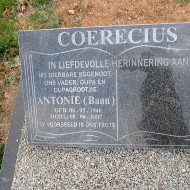COERECIUS Antonie 1946-2007