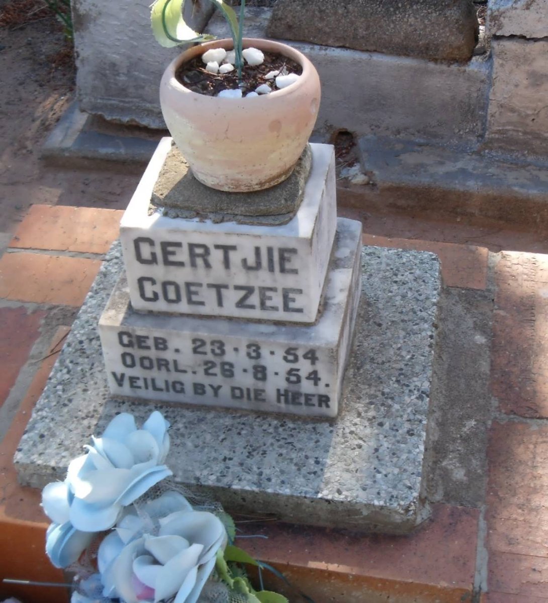 COETZEE Gertjie 1954-1954