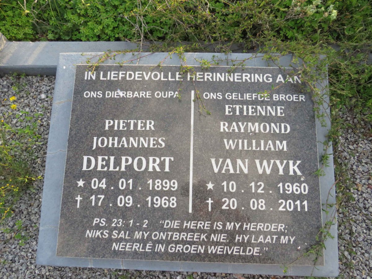 DELPORT Pieter Johannes 1899-1968 :: VAN WYK Etienne Raymond William 1960-2011