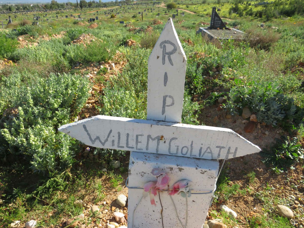 GOLIATH Willem