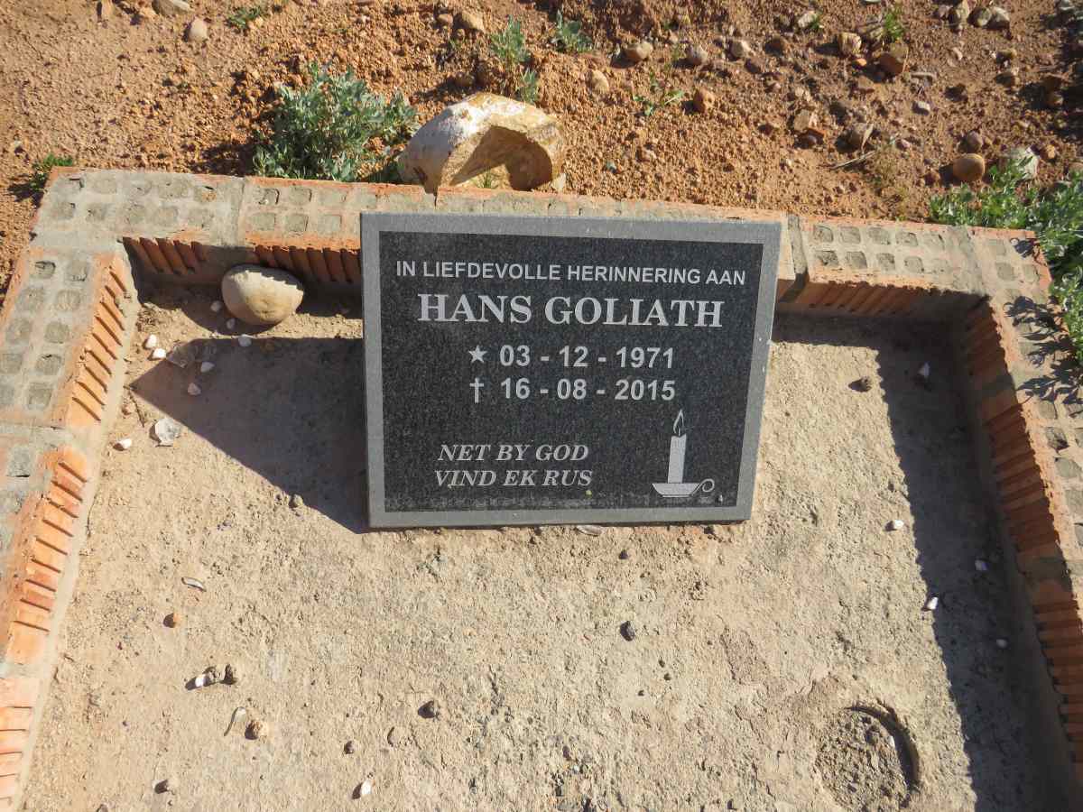 GOLIATH Hans 1971-2015