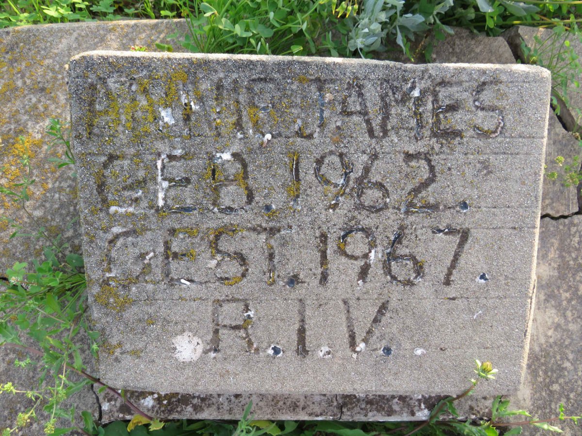 JAMES Annie 1962-1967