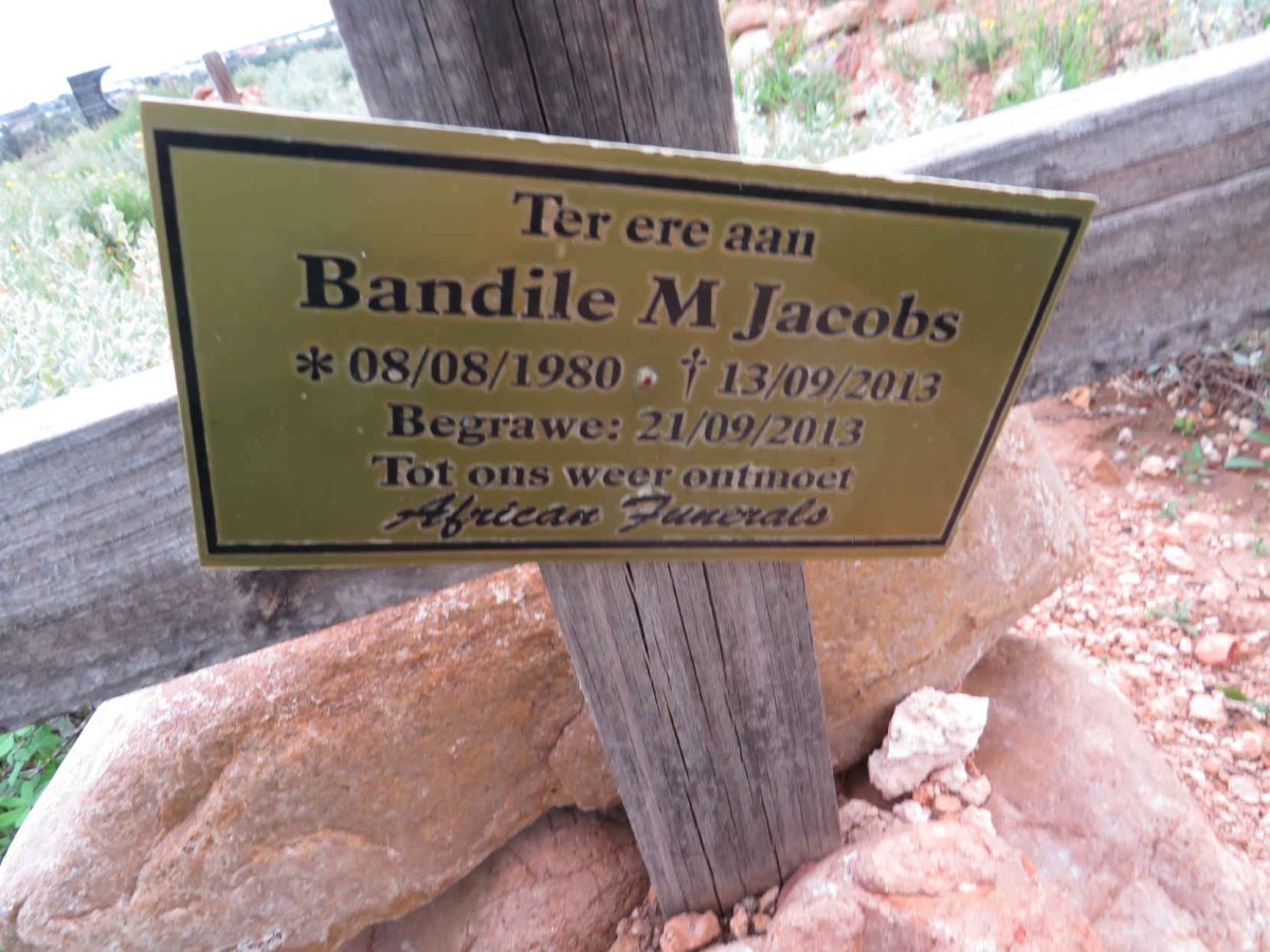 JACOBS Bandile M. 1980-2013