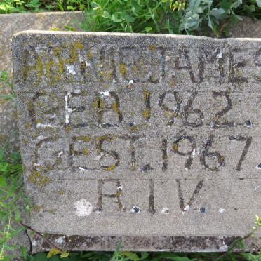 JAMES Annie 1962-1967