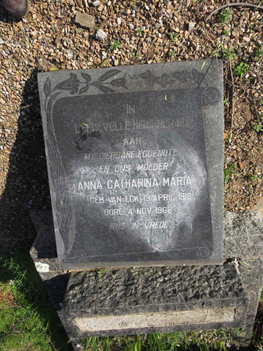 KLUYTS Anna Catharina Maria nee VAN ECK 1912-1962_2