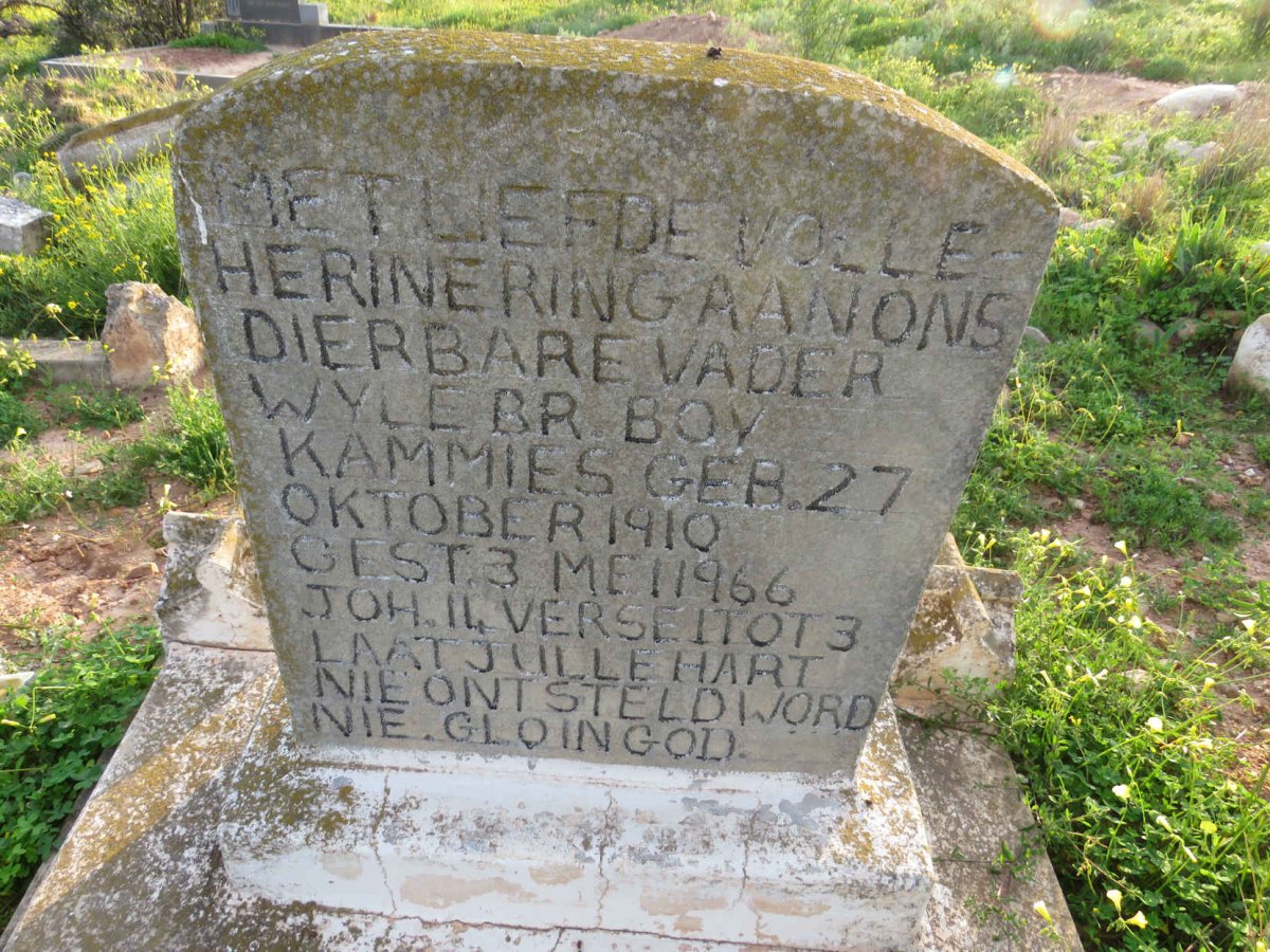 KAMMIES Boy 1910-1966