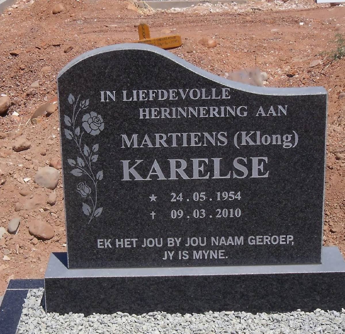 KARELSE Martiens 1954-2010