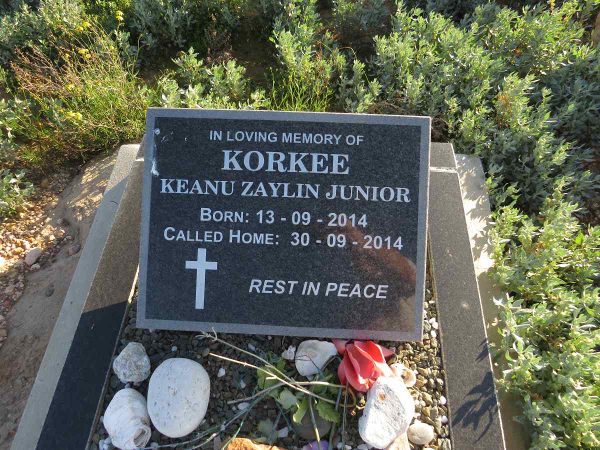 KORKEE Keanu Zaylin Junior 2014-2014