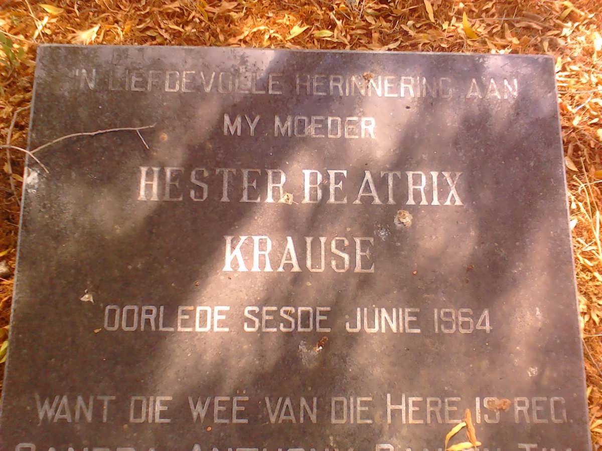 KRAUSE Hester Beatrix -1964