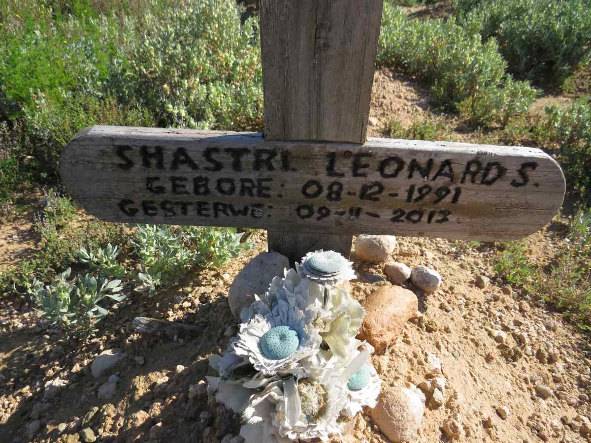 LEONARDS Shastri 1991-2013