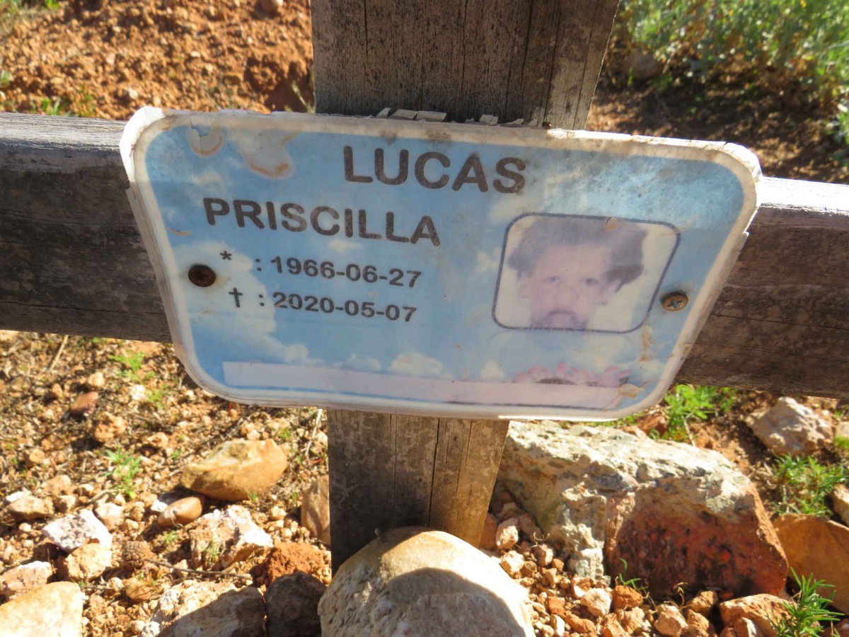 LUCAS Priscilla 1966-2020