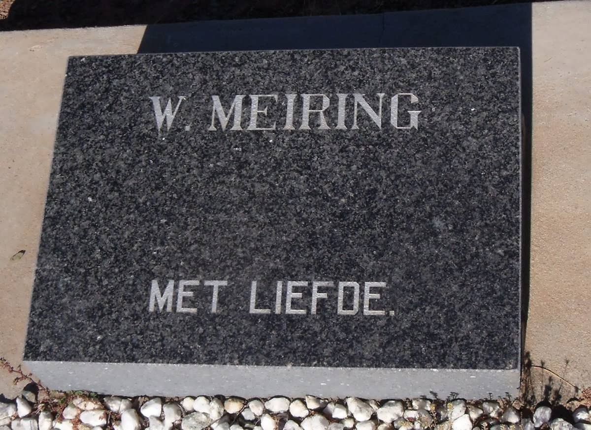 MEIRING W.