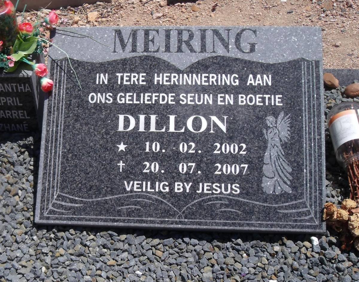 MEIRING Dillon 2002-2007