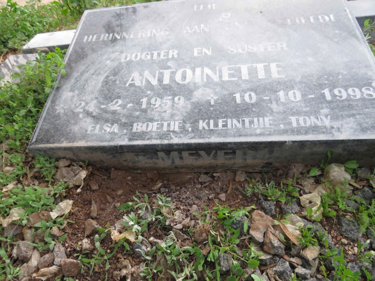 MEYER Antoinette 1959-1998