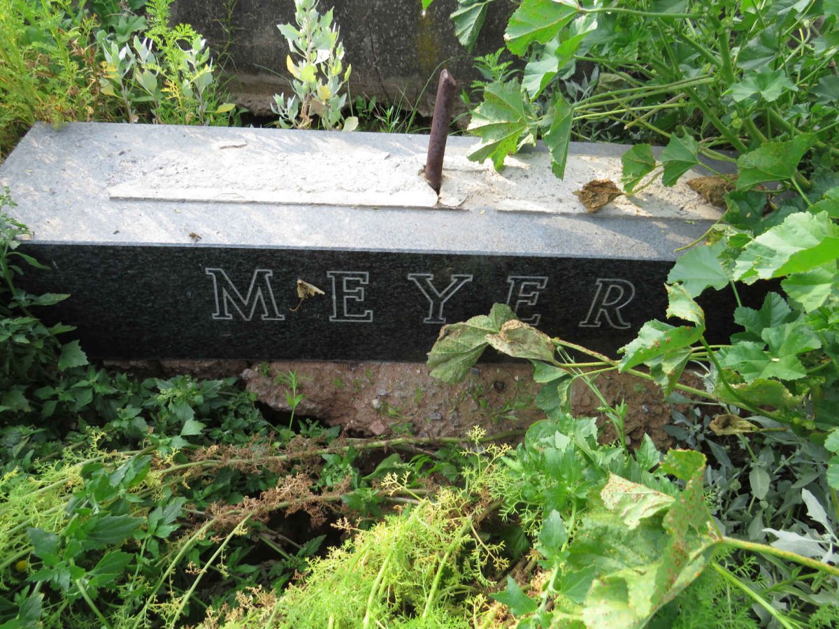 MEYER