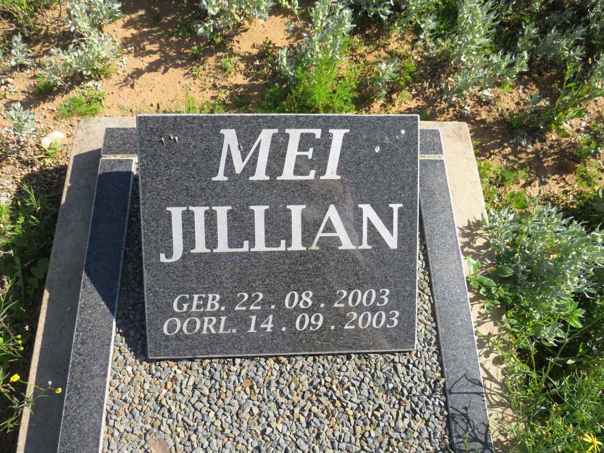 MEI Jillian 2003-2003