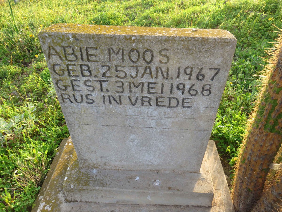 MOOS Abie 1967-1968