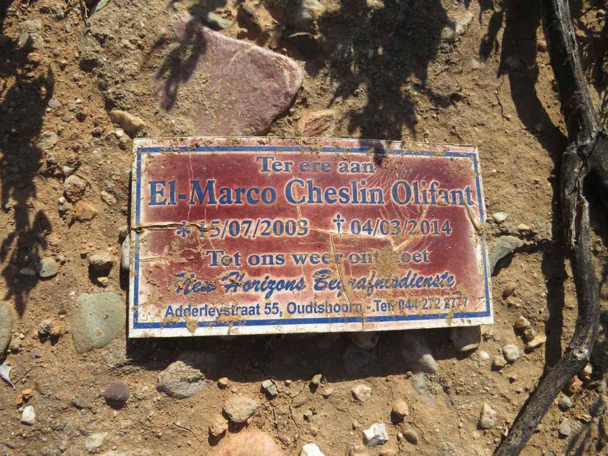 OLIFANT El-Marco Cheslin 2003-2014