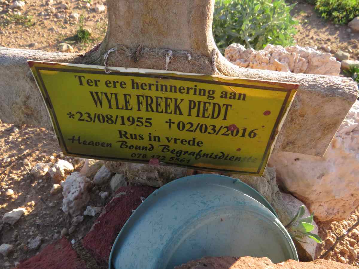PIEDT Freek 1955-2016