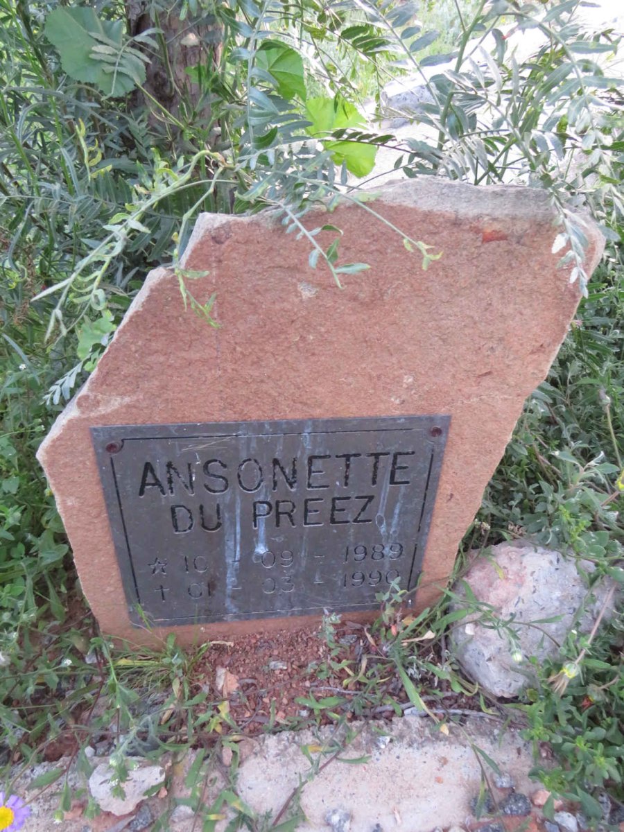 PREEZ Ansonette, du 1989-1990