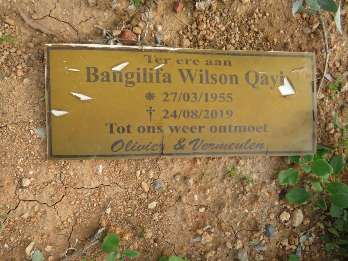 QAYI Bangilifa Wilson 1955-2019