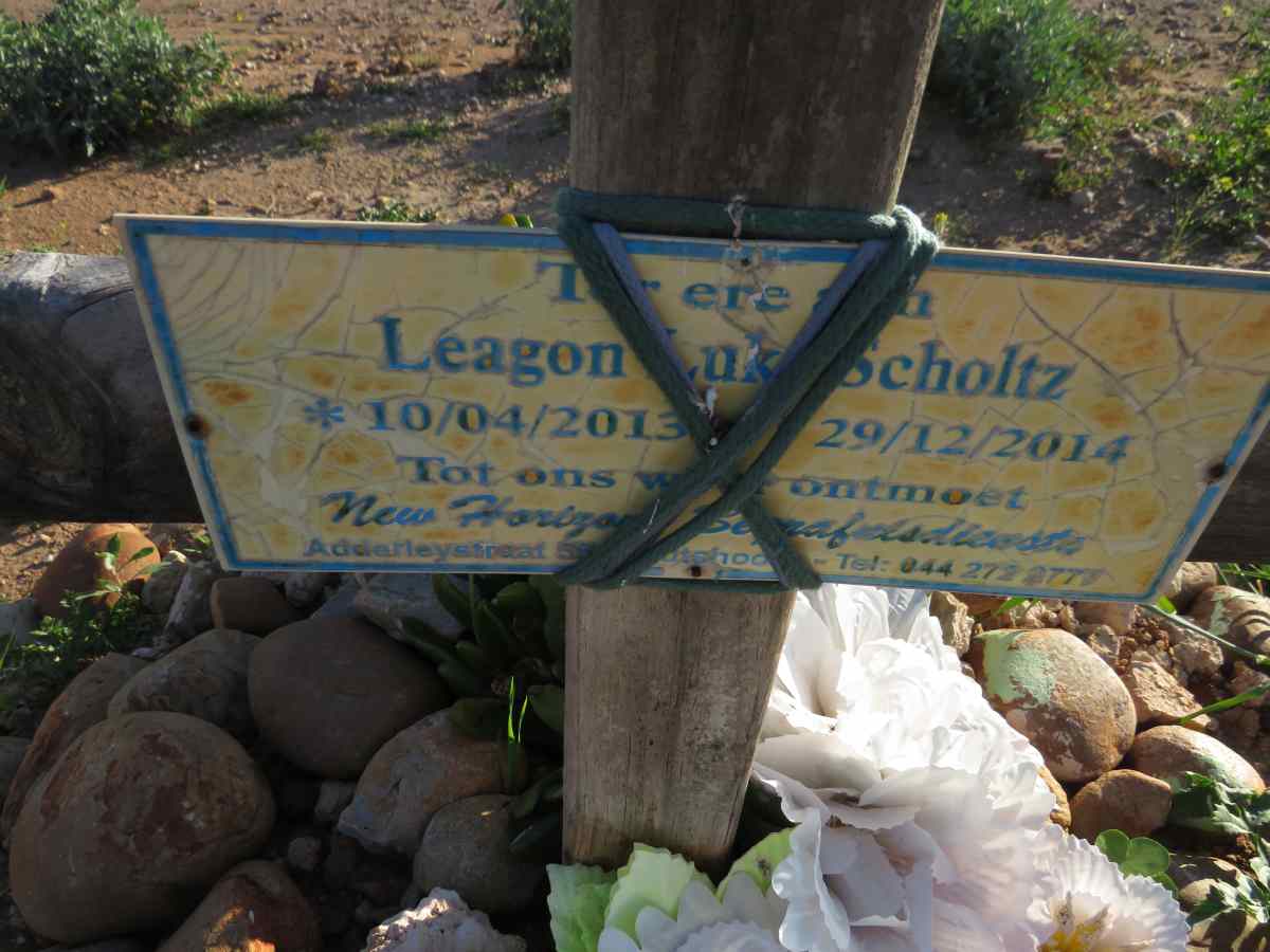 SCHOLTZ Leagon Luke 2013-2014