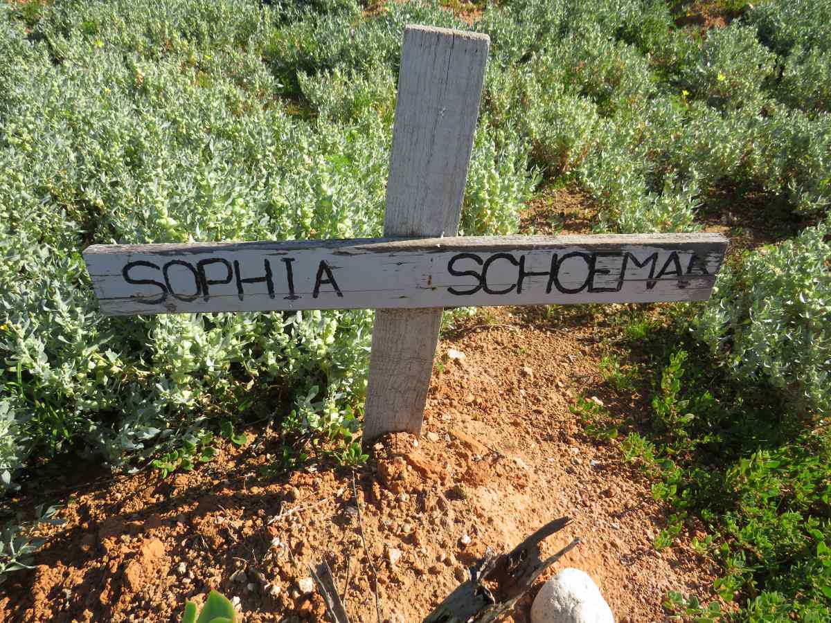 SCHOEMAN Sophia 