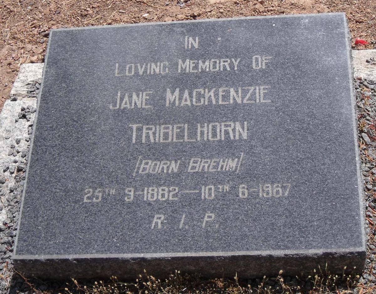TRIBELHORN Jane Mackenzie nee BREHM 1882-1967